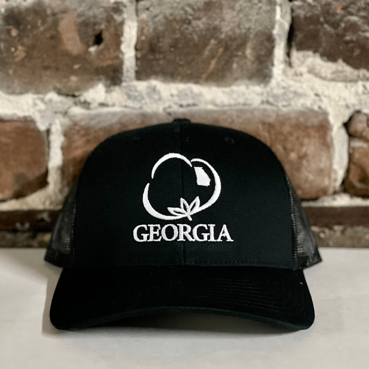 Georgia pride sales hats